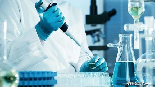 科学爆料小实验怎么做视频,轻松打造趣味科普内容  第3张