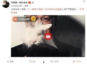 泳池事件爆料视频大全最新,揭秘惊人真相与幕后黑幕  第3张