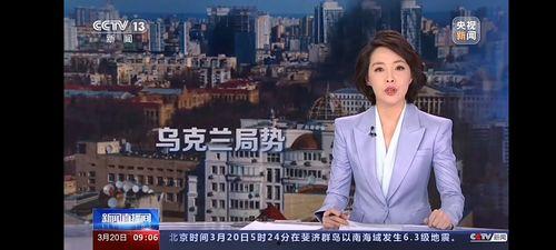 乌克兰村长爆料新闻视频,揭秘战火中的真实生活  第2张
