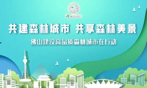 佛山市各新闻爆料电话,佛山新闻爆料热线汇总  第2张