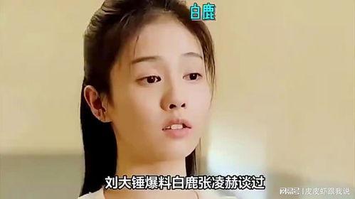刘大锤爆料白鹿视频全集,白鹿视频全集大曝光，精彩瞬间尽收眼底  第2张