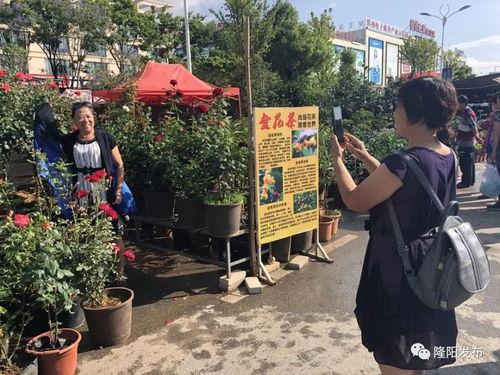 最新花街在线观看,沉浸式体验最新网络剧魅力  第2张