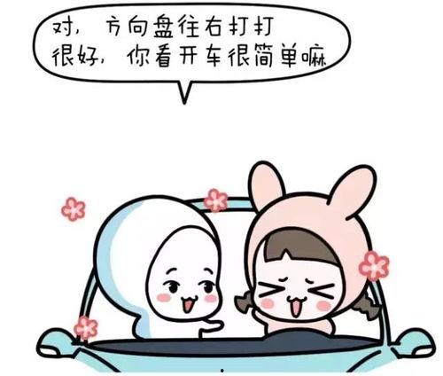 学车教练爆料视频下载免费,免费下载视频背后的真相  第2张