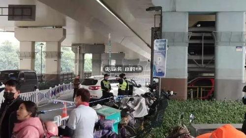 郑州售楼小伙爆料视频,揭秘房地产内幕，行业乱象一览无余