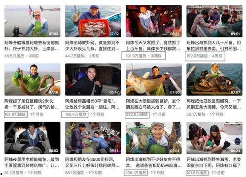 吃瓜网红故事大全视频,网红故事大全视频精彩回顾  第2张