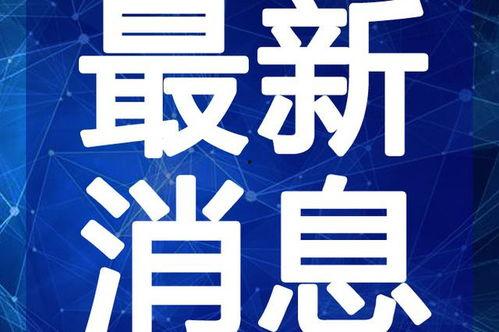 虎帅最新爆料视频大全图片,视频大全图片揭秘幕后真相