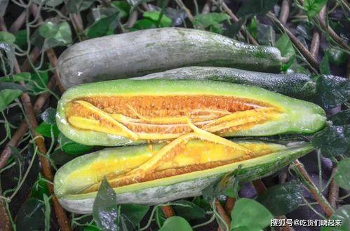 网红瓜在哪儿吃,揭秘瓜在哪儿的美味之旅  第2张