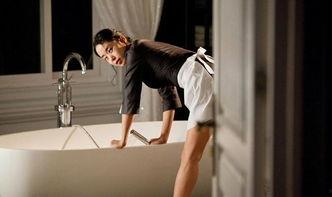 女佣电影在线观看,揭秘家政背后的感人故事  第2张